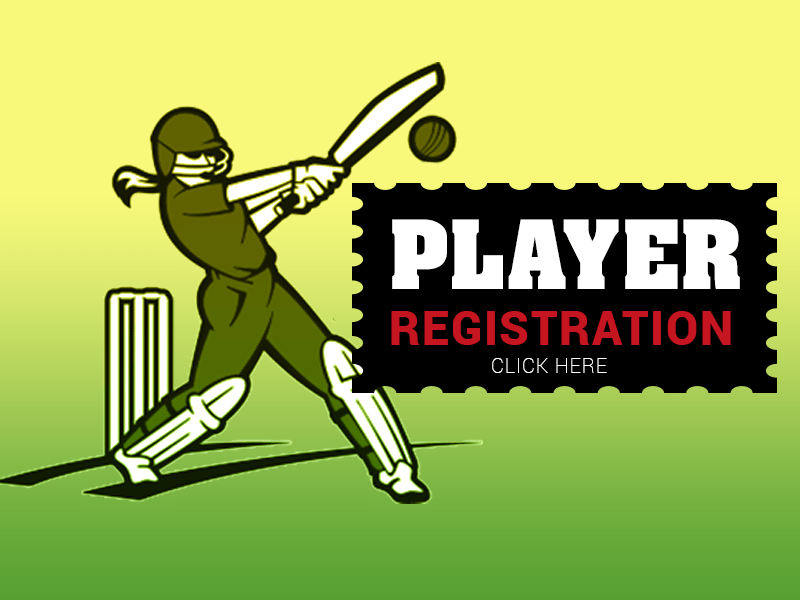 Cricket Team Project